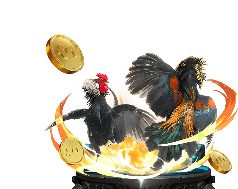 Hướng dẫn bắt đầu chơi tại okwin casino